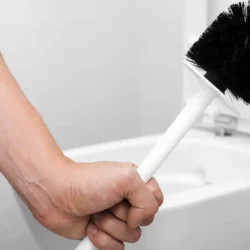 meilleures brosses wc toilette avis comparatif guide d'achat